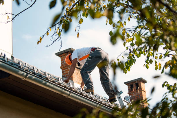 Best Cold Roofs  in Mitchell, NE